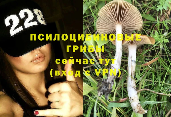 мет Аркадак