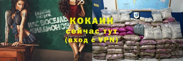 кокс Арсеньев