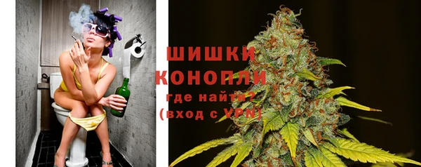 кокс Арсеньев